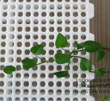 高清图片下的塑料地板 优势、选择与应用